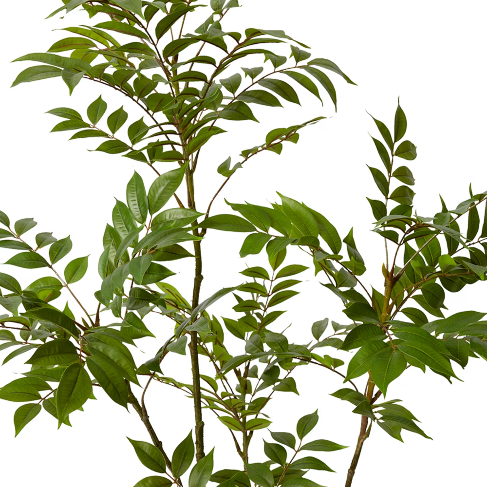 Artificial Outdoor Japanese Lacquer Plant - 133cms