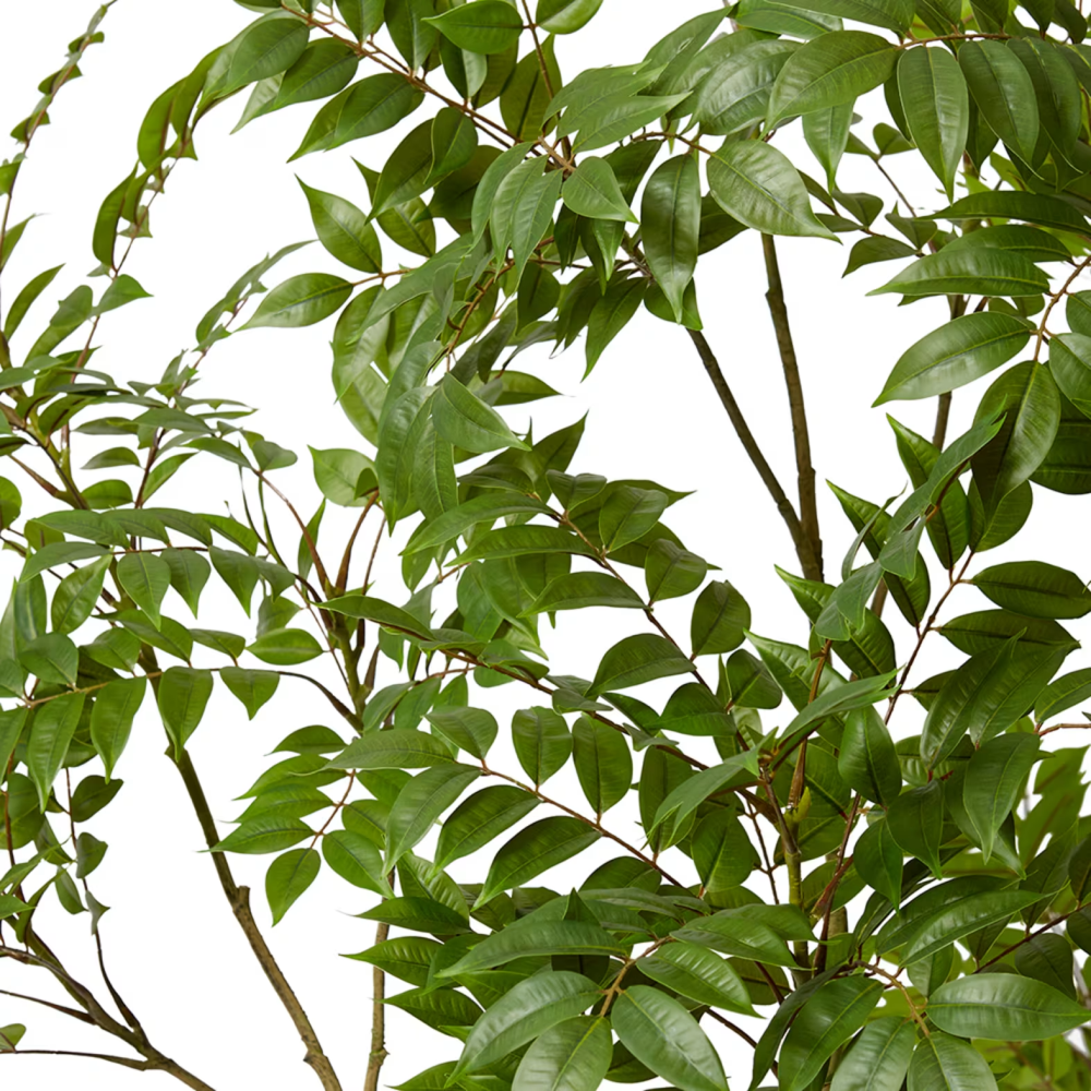 Artificial Outdoor Japanese Lacquer Plant - 220cms