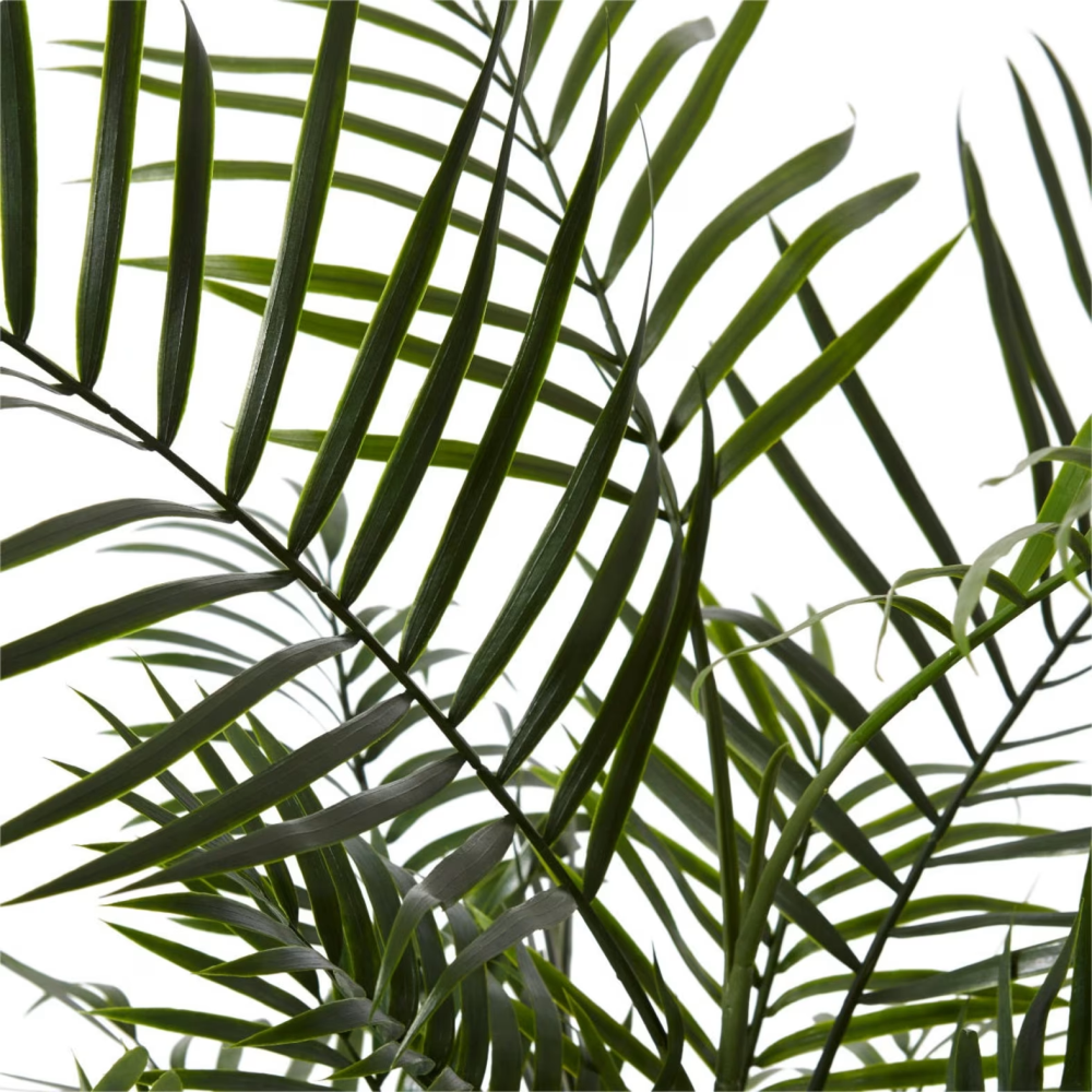 Artificial Outdoor Palm Areca - 90cms