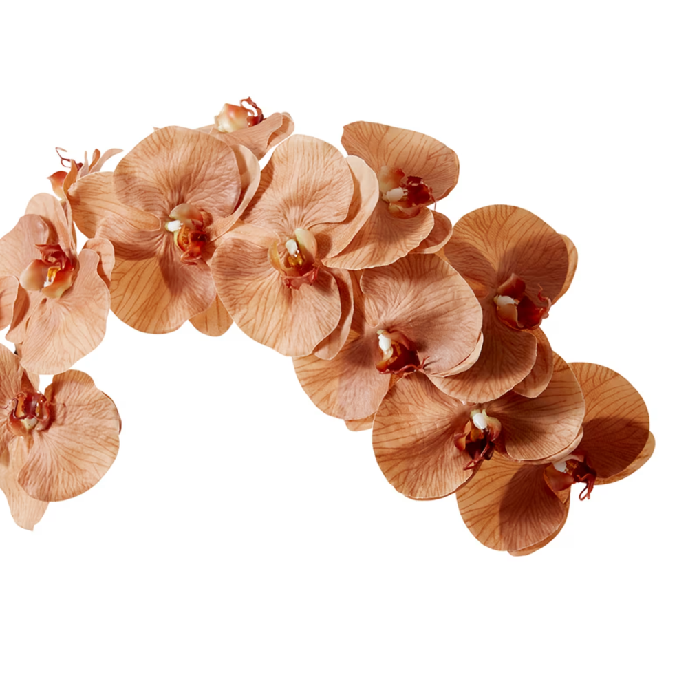 Artificial Phalaenopsis Orchid Decor Stem - Brown - 112cms