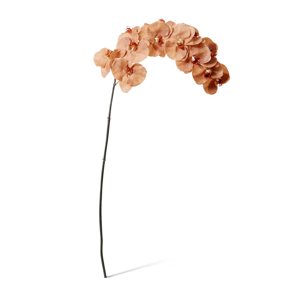 Artificial Phalaenopsis Orchid Decor Stem - Brown - 112cms
