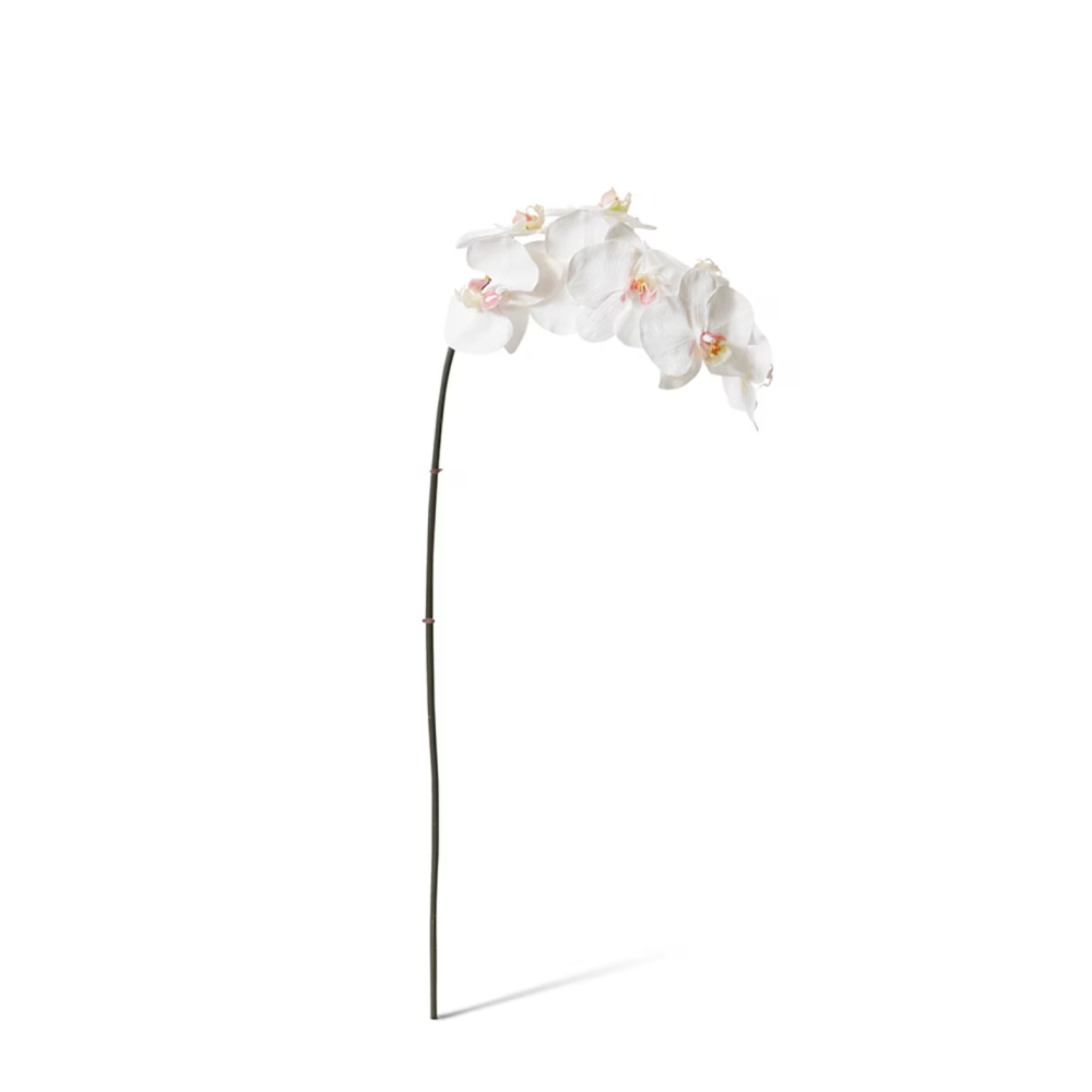 Artificial Phalaenopsis Orchid Decor Stem - Pink/White - 95cms