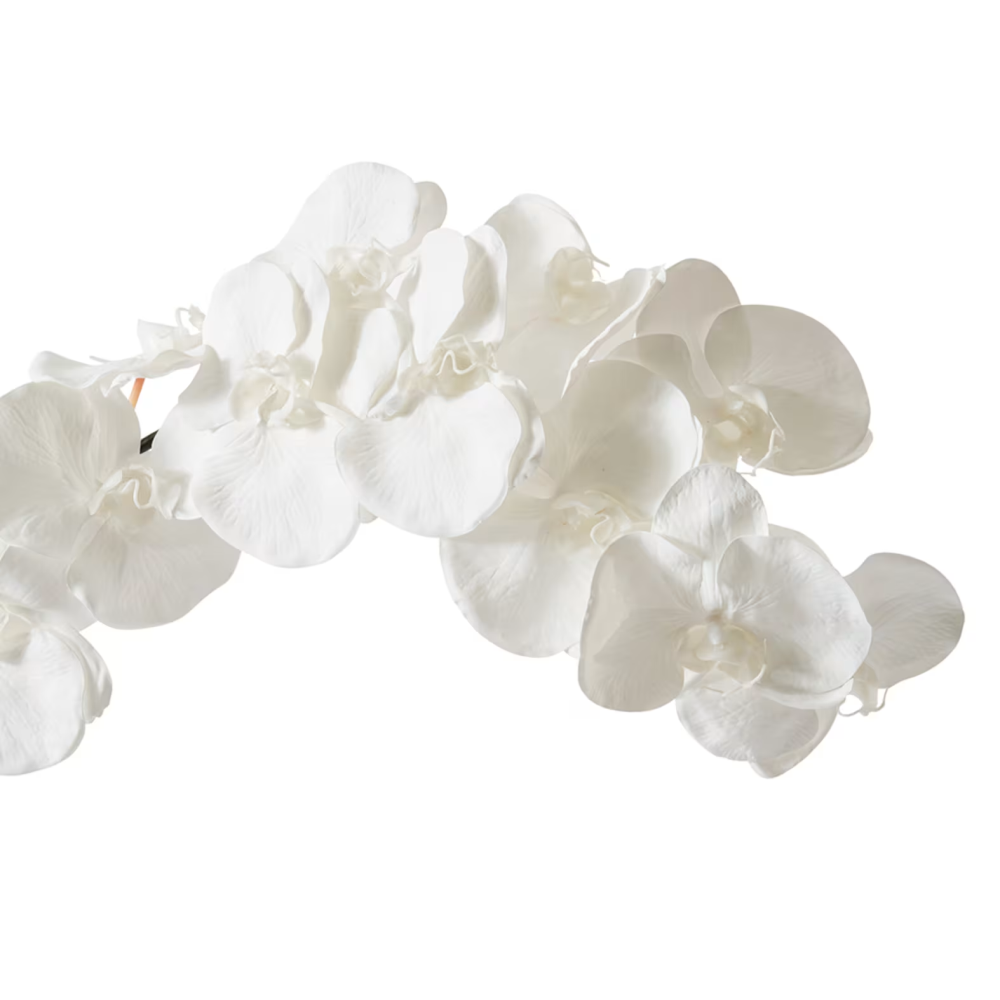 Artificial Phalaenopsis Orchid Decor Stem - White - 112cms