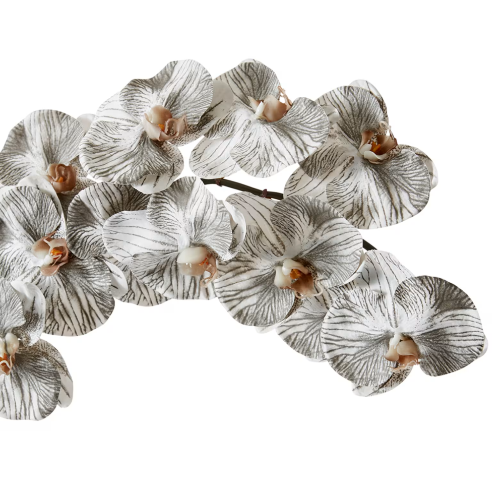 Artificial Phalaenopsis Orchid Decor Stem - Black/White - 112cms