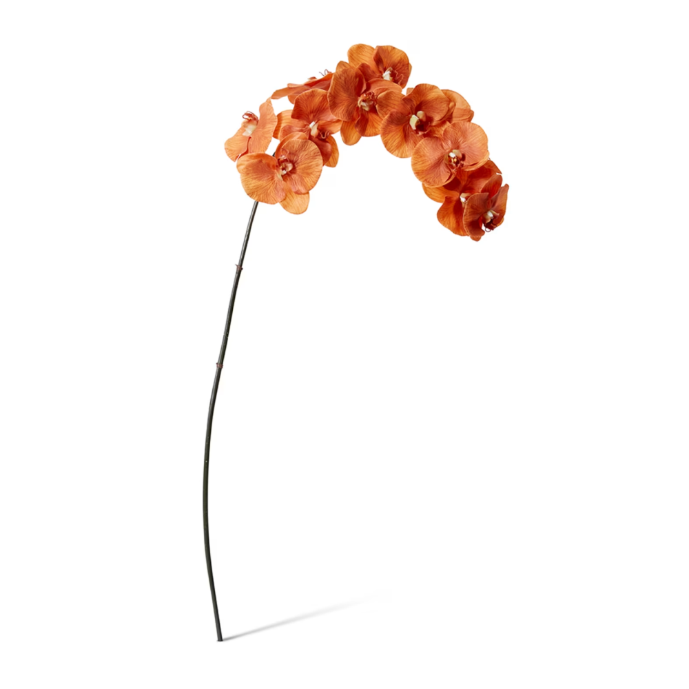 Artificial Phalaenopsis Orchid Decor Stem - Rustic Orange - 112cms