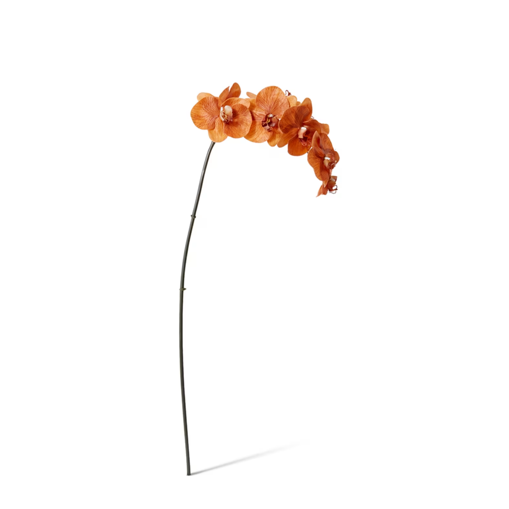 Artificial Phalaenopsis Orchid Decor Stem - Rustic Orange - 95cms