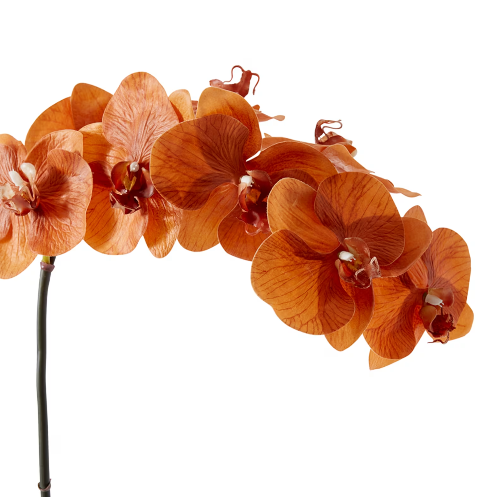 Artificial Phalaenopsis Orchid Decor Stem - Rustic Orange - 95cms