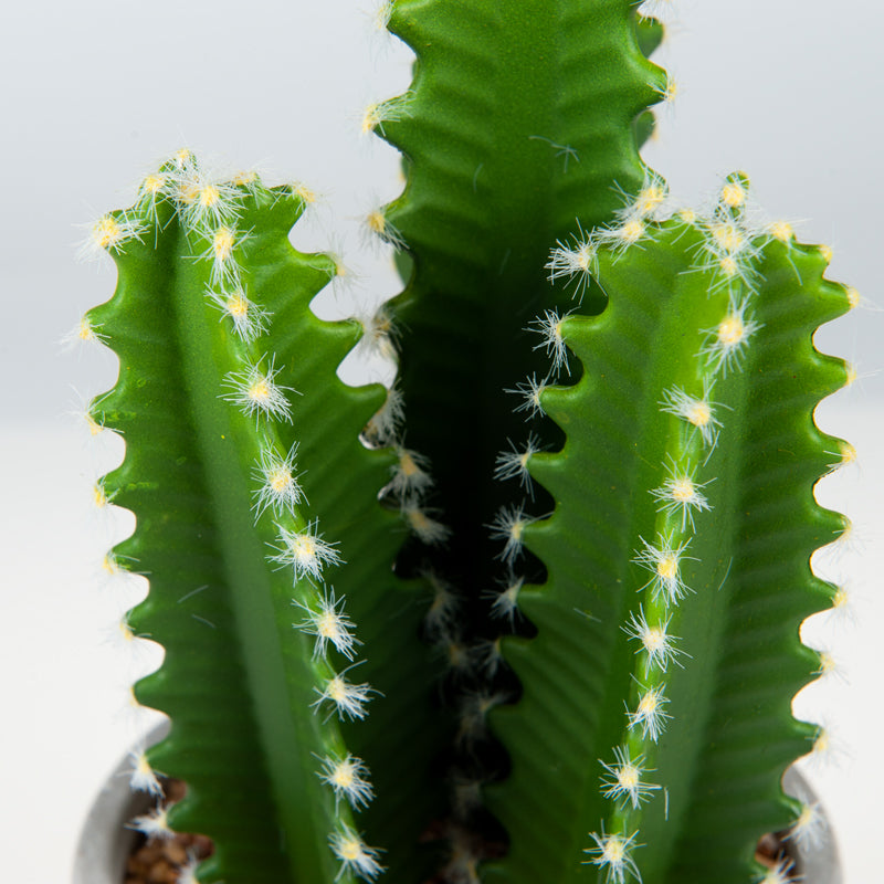 Artificial Plastic Cactus Cement Pot - 30cms