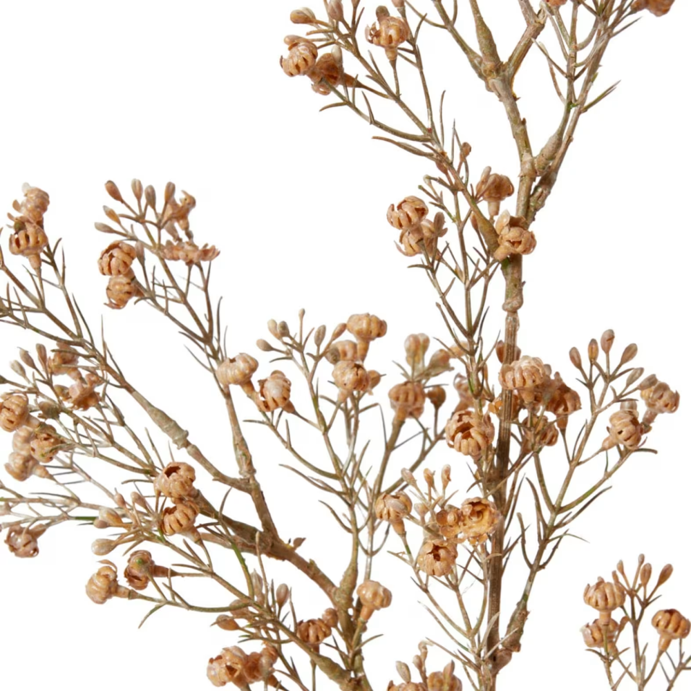 Artificial Popcorn Flower Decor Stem - Light Brown - 63cms