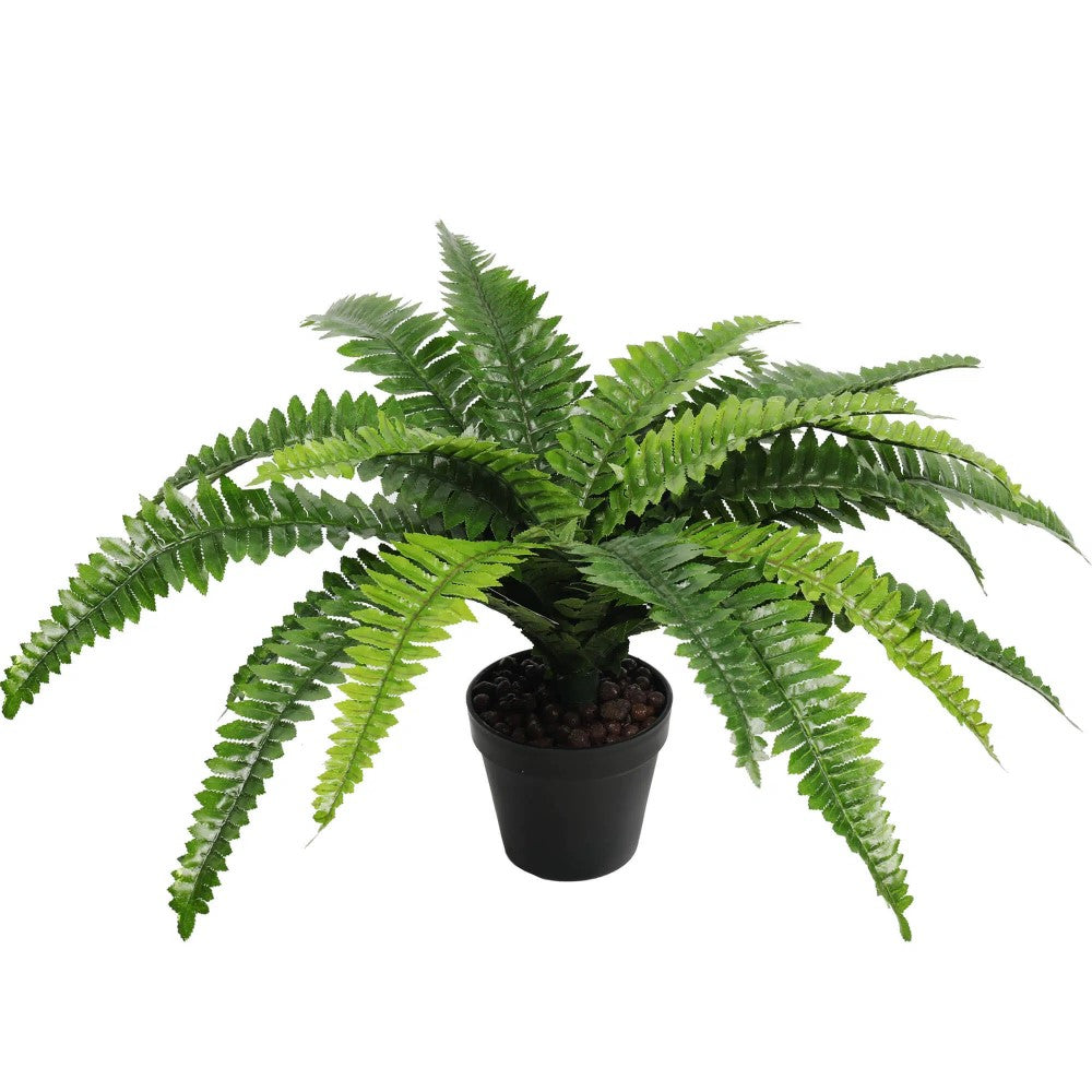Artificial Potted Fresh Green Boston Fern 50cms