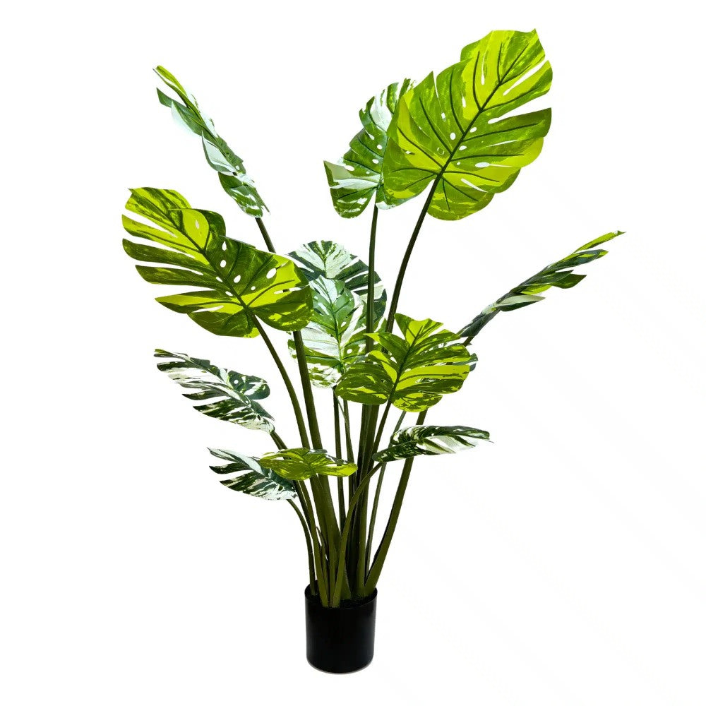 Artificial Potted Monstera Albo 150cms