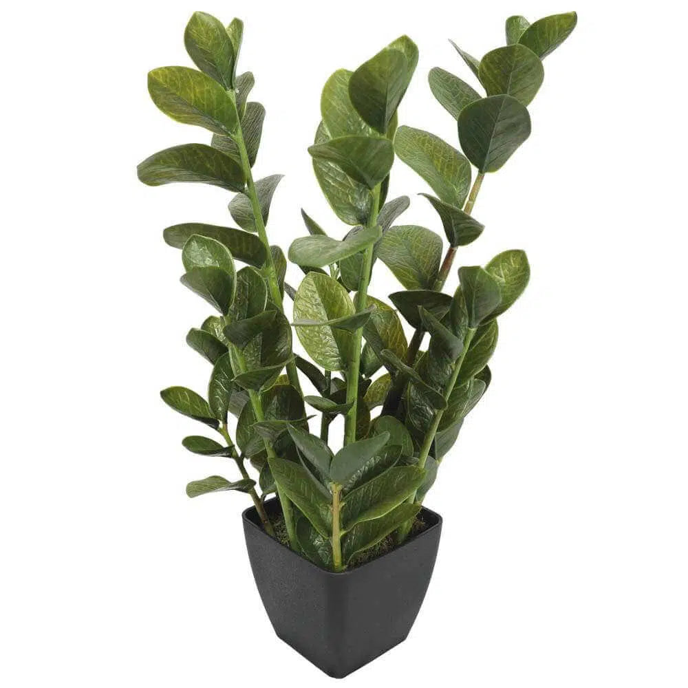 Artificial Potted Multi Stem Zanzibar Plant 72cms