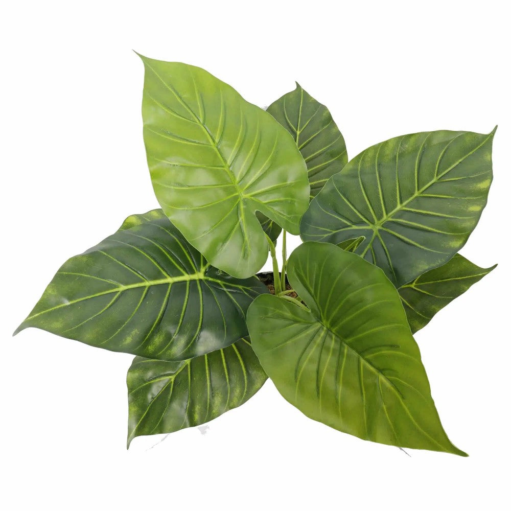 Artificial Potted Taro Elephant Ear Plant 55cms