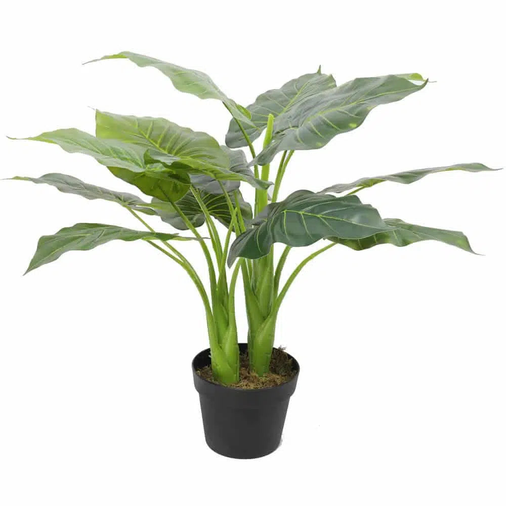 Artificial Potted Taro Elephant Ear Plant 70cms