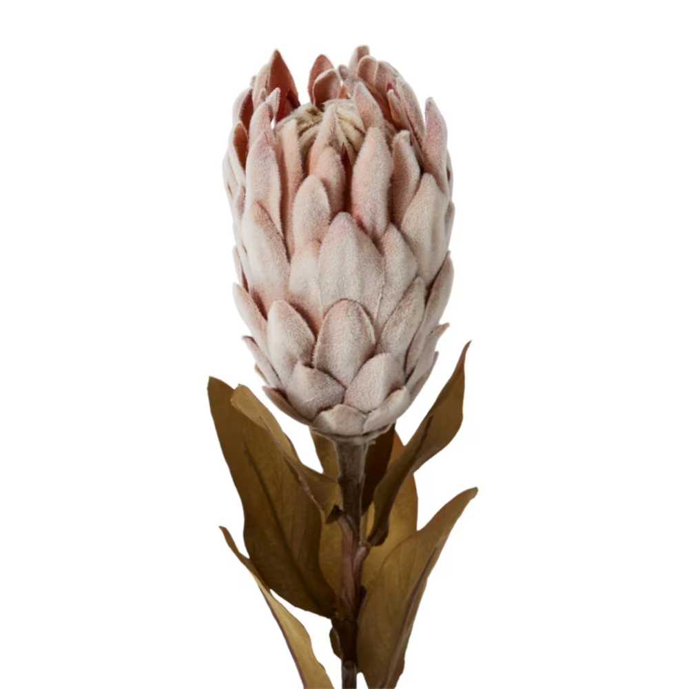 Artificial Protea Dried Look Decor Stem - Light Pink - 61cms