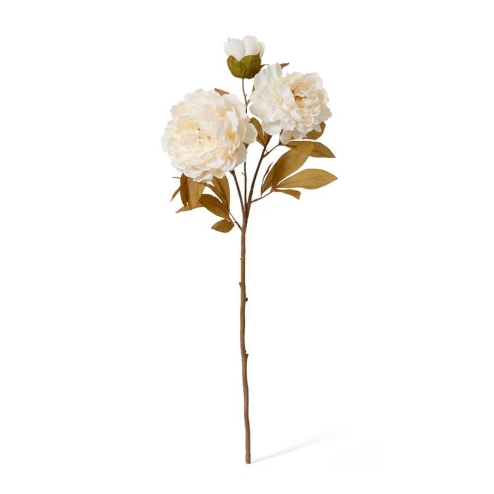 Artificial Queen Peony Decor Stem - Ivory - 76cms