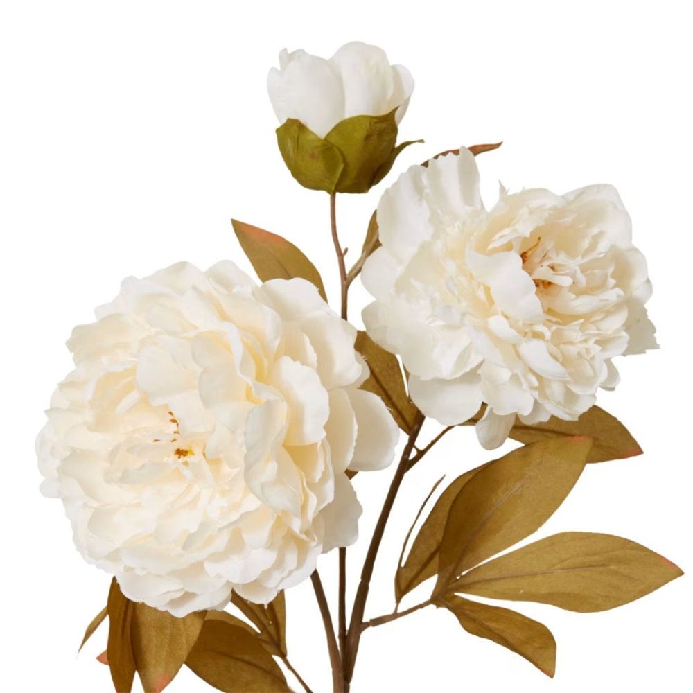 Artificial Queen Peony Decor Stem - Ivory - 76cms