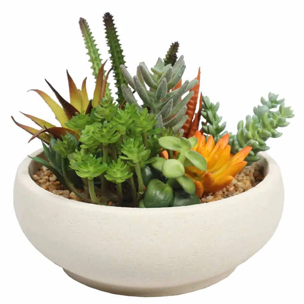 Artificial Succulent In Natural Stone Bowl 21cms