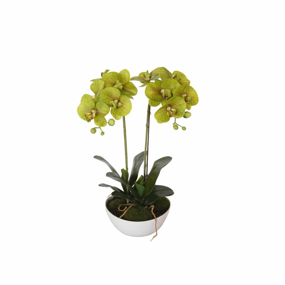 Artificial Two Stem Butterfly Artificial Orchid 50cms