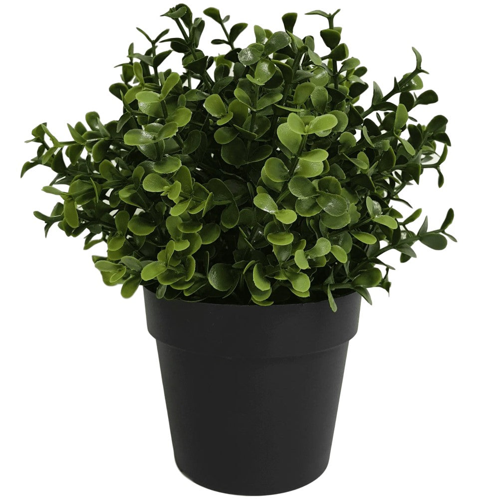 Artificial UV Resistant Buxus Plant 20cms