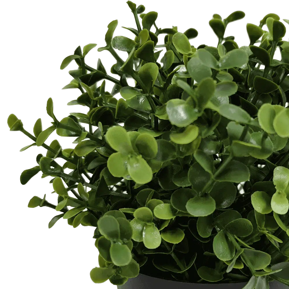 Artificial UV Resistant Buxus Plant 20cms