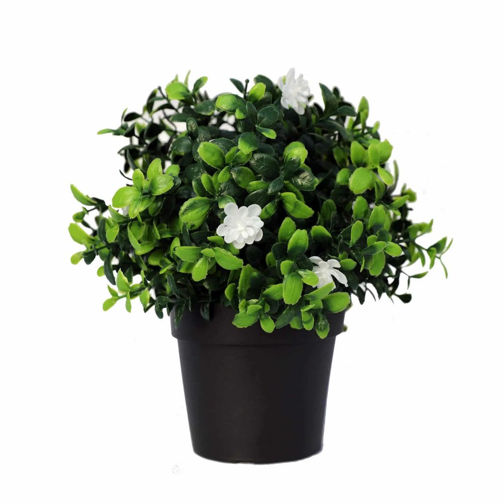 Artificial UV Resistant Flowering Boxwood Plant 20cms