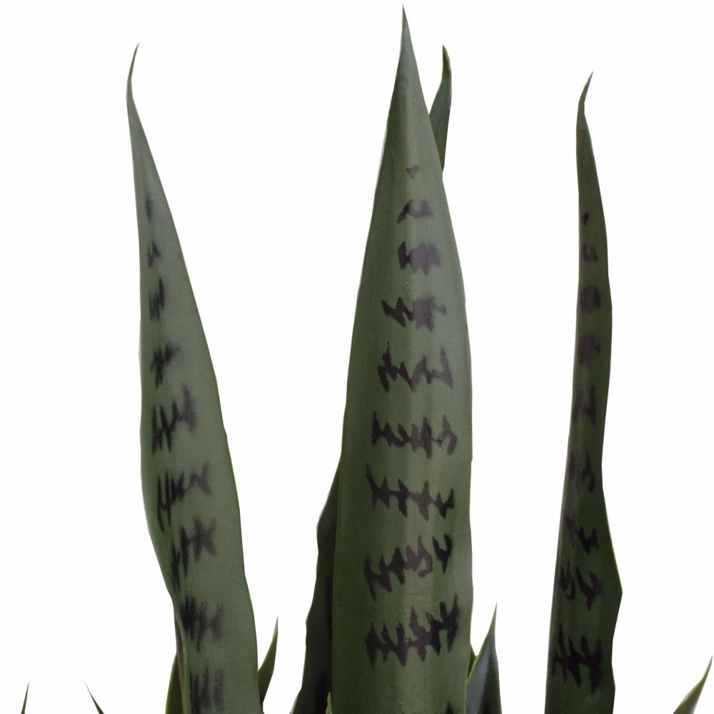 Artificial UV Resistant Snake Plant Sansevieria 100cms