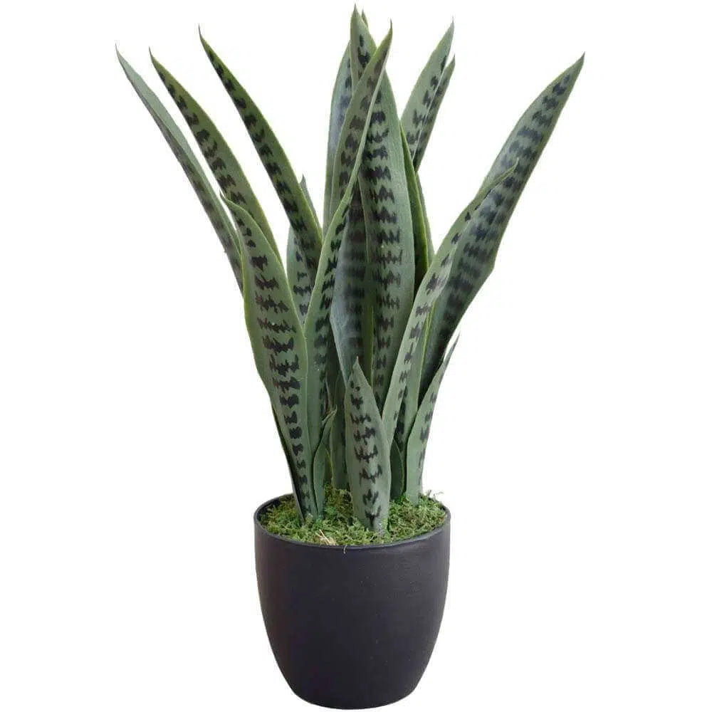 Artificial UV Resistant Snake Plant Sansevieria 60cms
