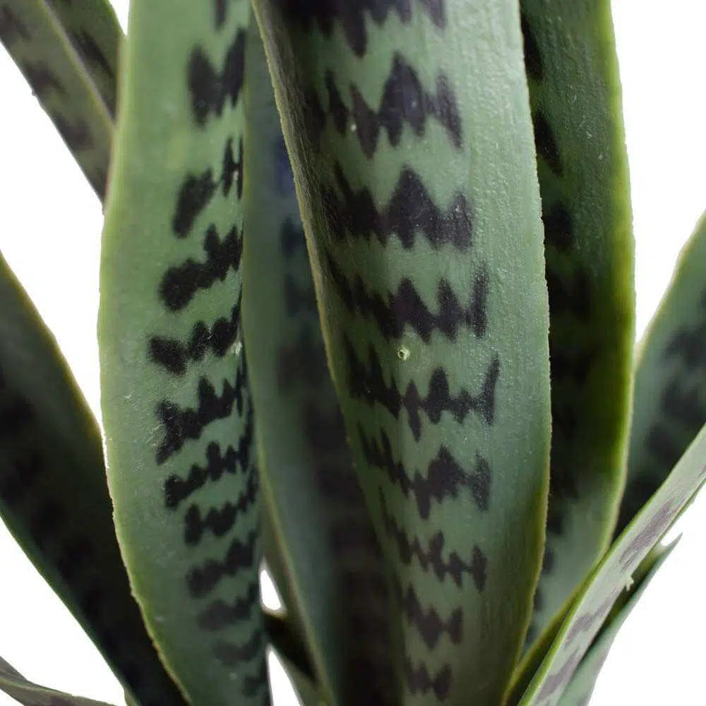 Artificial UV Resistant Snake Plant Sansevieria 60cms