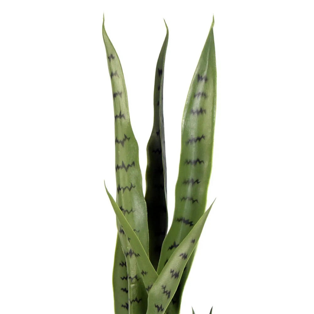 Artificial UV Resistant Snake Plant Sansevieria 85cms