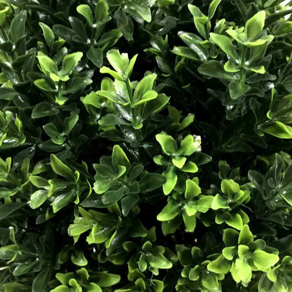 Artificial UV Resistant Topiary Hedyotis Shrub 50cms