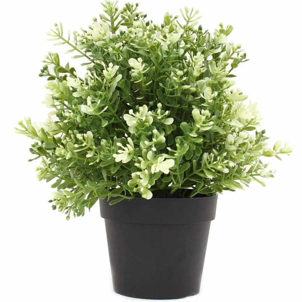 Artificial UV Resistant White Jade Plant 20cms