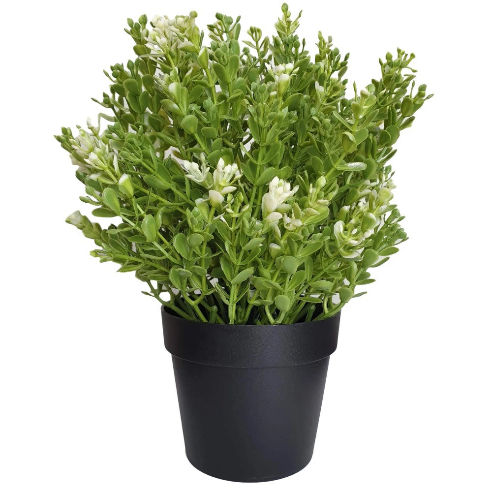 Artificial UV Resistant White Jade Plant 20cms