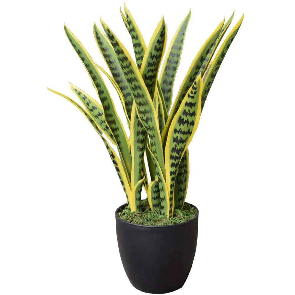 Artificial UV Resistant Yellow Tongue Sansevieria 60cms