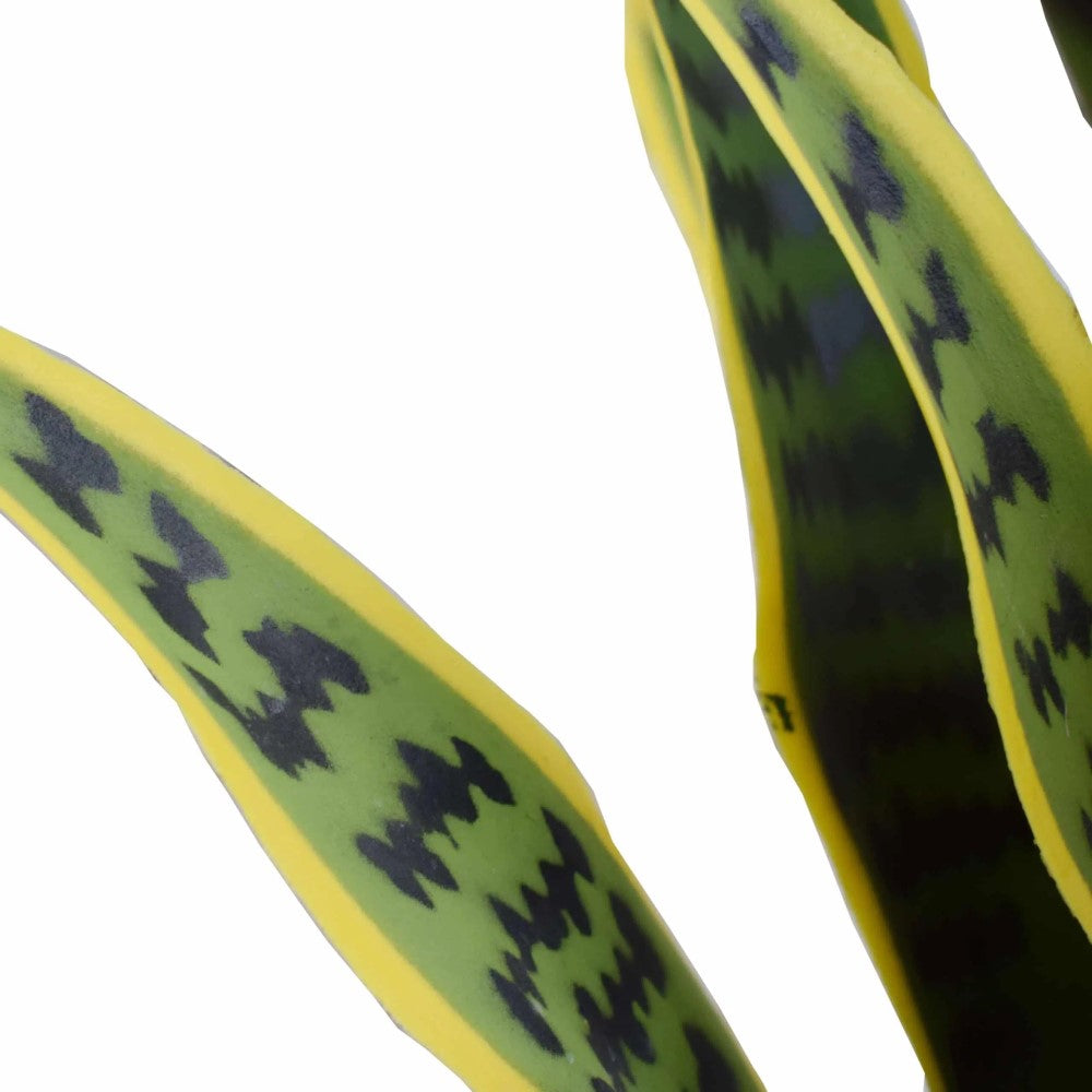 Artificial UV Resistant Yellow Tongue Sansevieria 60cms