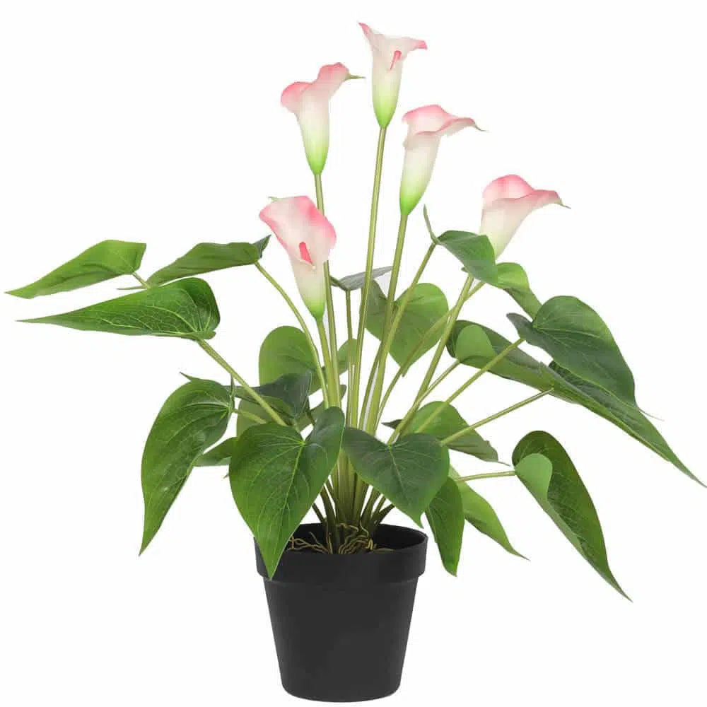 Artificial White & Pink Peace Lily Plant 50cms