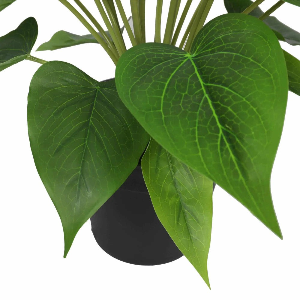Artificial White & Pink Peace Lily Plant 50cms