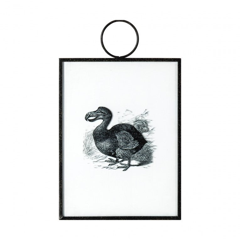 Artistry in Exotic Birds 2 Framed Hanging Set