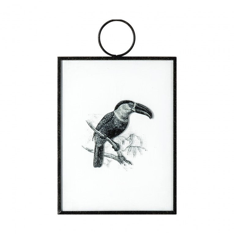 Artistry in Exotic Birds 2 Framed Hanging Set