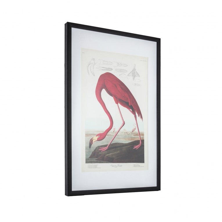 Inquisitive Flamingo Illustration Framed Art