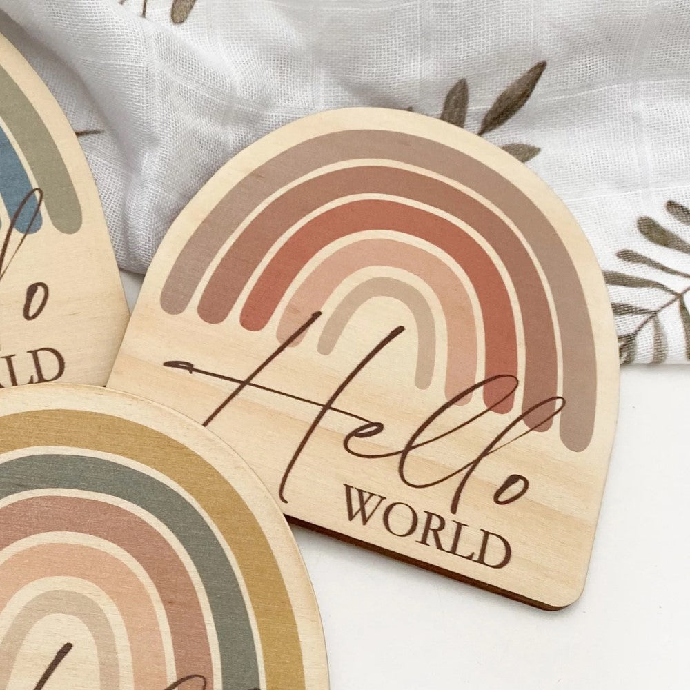 Baby and Pregnancy Milestone Plaques - Rainbow series (Various Designs)