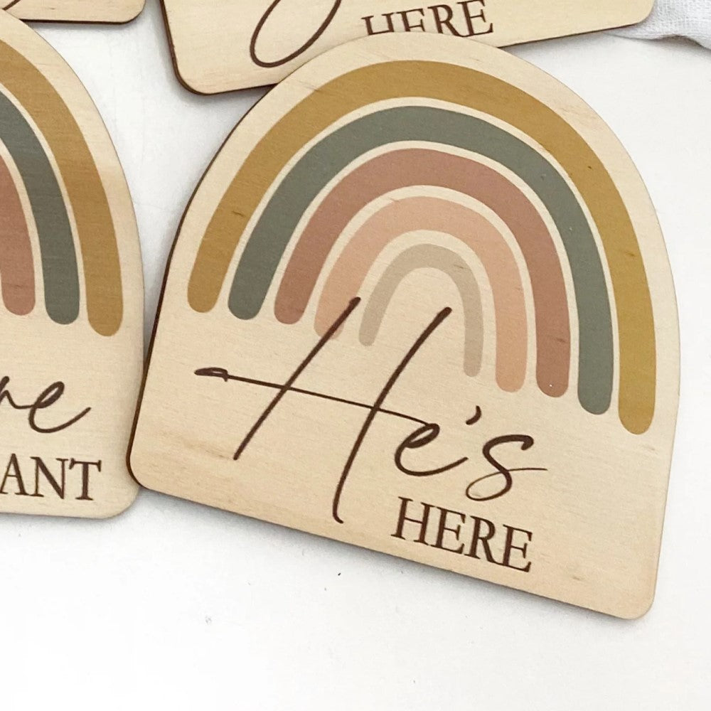 Baby and Pregnancy Milestone Plaques - Rainbow series (Various Designs)