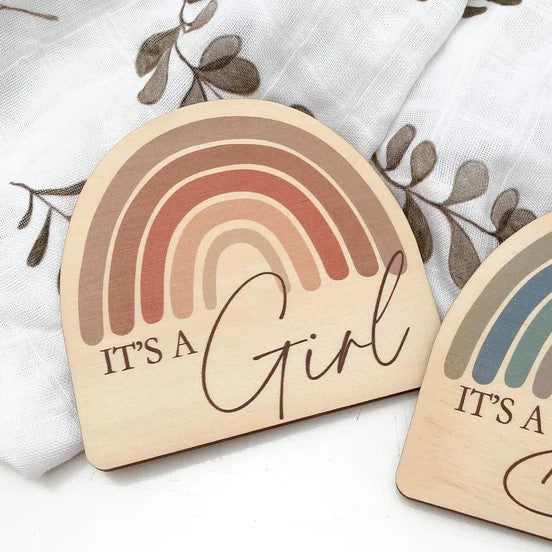 Baby and Pregnancy Milestone Plaques - Rainbow series (Various Designs)