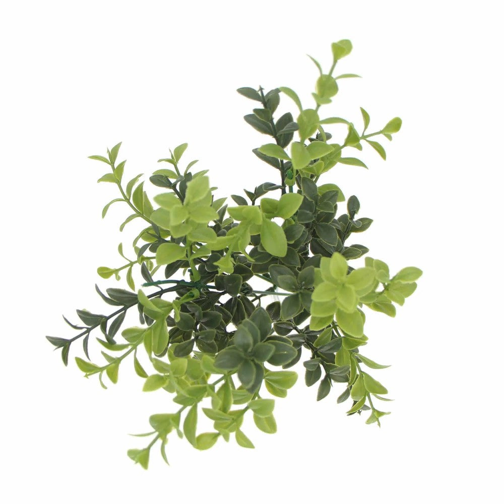 Beauty Artificial UV Rounded Boxwood Stem 30cms
