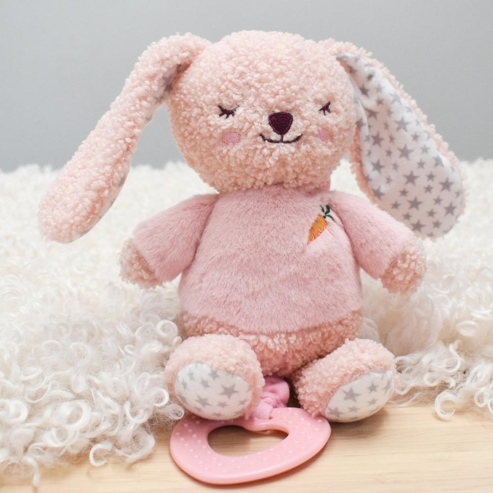 Berry Bunny Jiggler Snuggle Buddy Playtime Delight