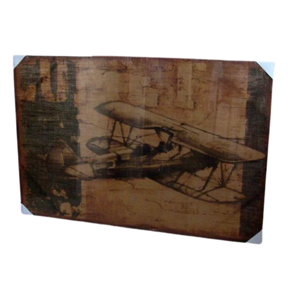 Bi-Plane Beauty on Jute in Wood Frame