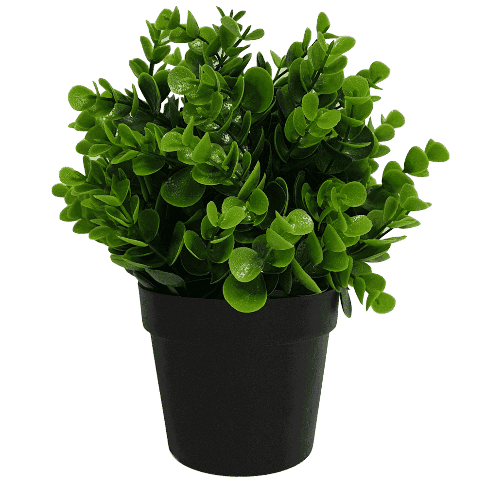 Bliss Artificial UV Resistant Peperomia Plant 20cms