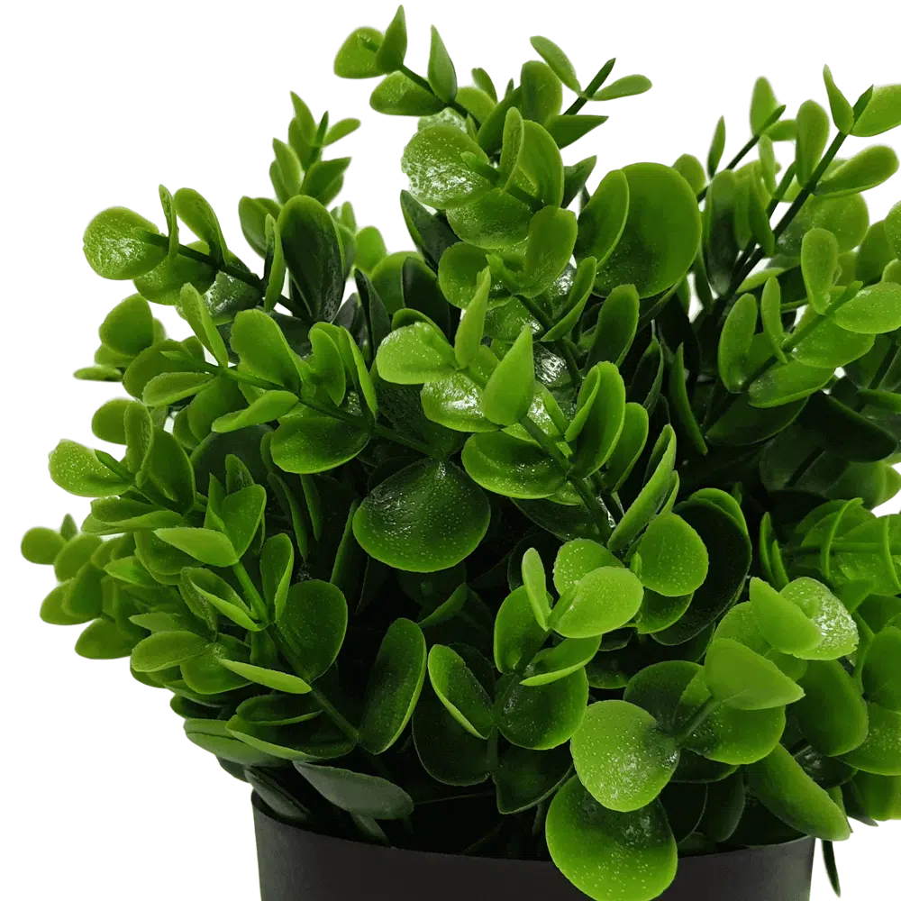 Bliss Artificial UV Resistant Peperomia Plant 20cms