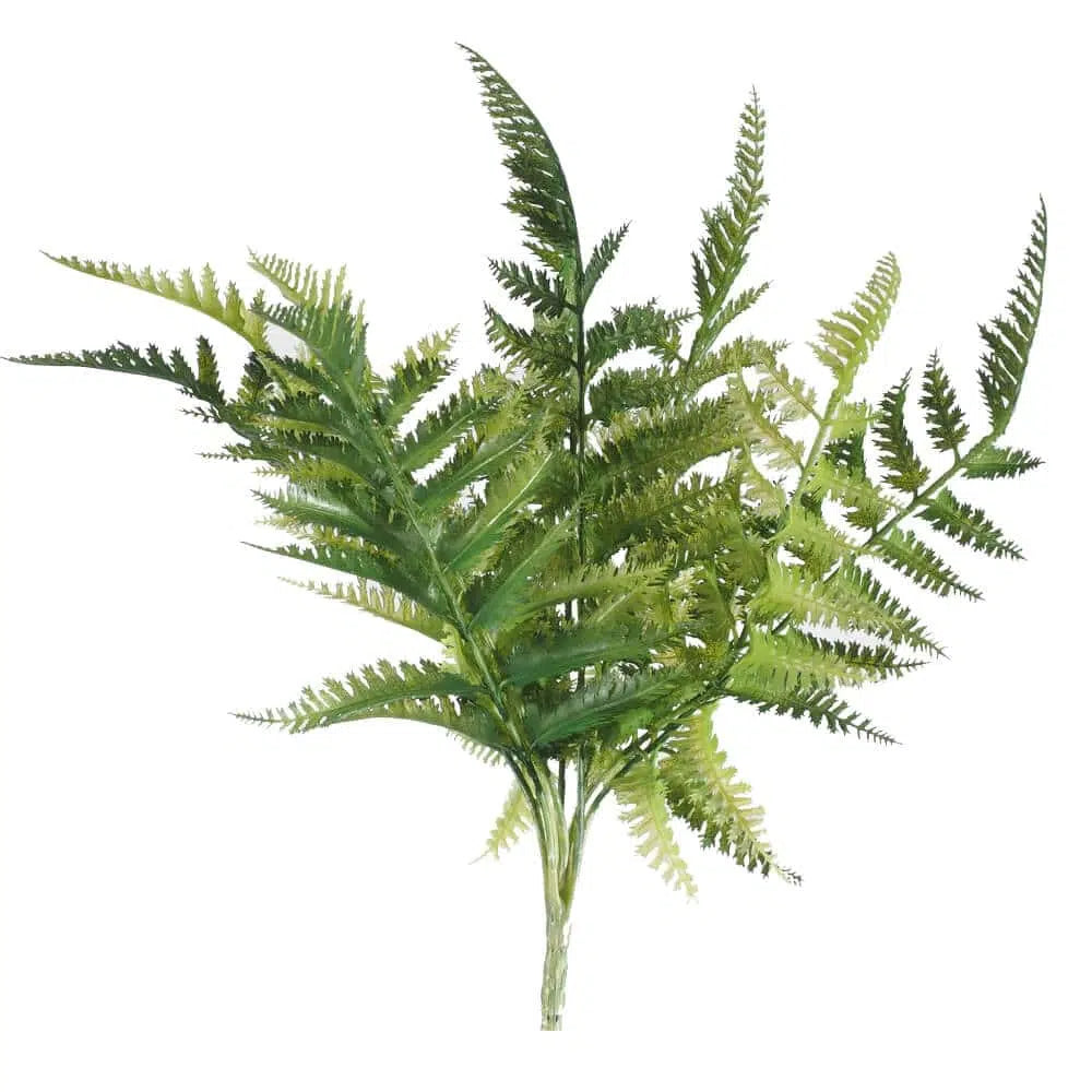 Blissful Dryopteris Fern Stem 30cms
