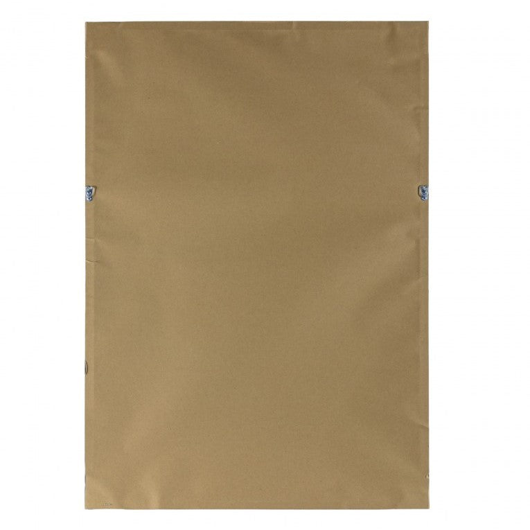 Bold Impressions Print Framed Photographic Art